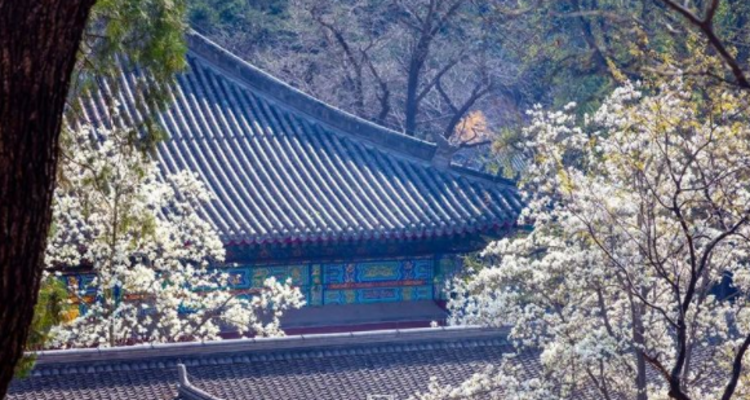 【休闲怀柔2日】红螺寺+雁栖湖西山栈道+小众圣泉山+全天畅玩+2天1夜休闲游