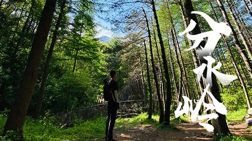 秦岭100公里山野·分水岭高山草甸站