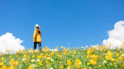 【行走川西·格聂南坡8日】最后的香巴拉，格聂转山经典穿越+成都+新都桥+然日卡村+徒步喀麦隆措+格聂之眼+虎皮坝+老冷古寺+格聂南坡精华路段+夯达营地+热梯草原+理塘+康定