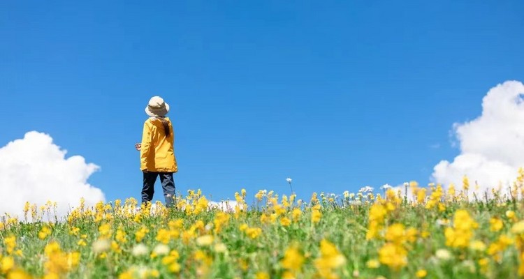 【行走川西·格聂南坡8日】最后的香巴拉，格聂转山经典穿越+成都+新都桥+然日卡村+徒步喀麦隆措+格聂之眼+虎皮坝+老冷古寺+格聂南坡精华路段+夯达营地+热梯草原+理塘+康定