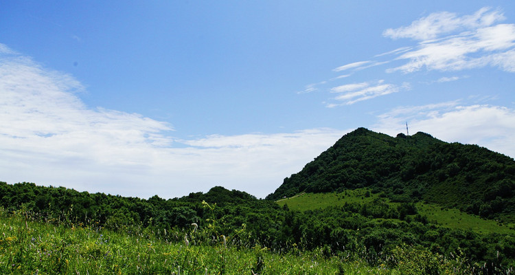 【北京一周一山·百花山】9.5公里初级徒步丨北京第三高峰+高山百花草甸