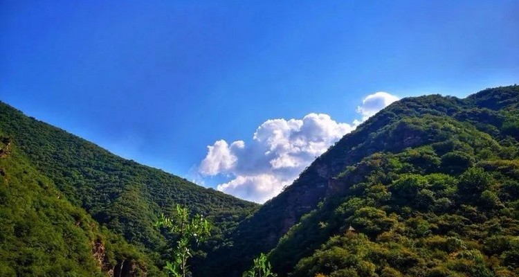 【北京一周一山·秋林铺】中级丨15公里丨徒步穿越秋林铺-百草畔-百花山+赏白桦林与高山草甸美景~