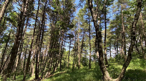 【京西龙脊-老龙窝】14公里高山穿越-原始森林徒步+高山草甸丨中级难度新人勿报