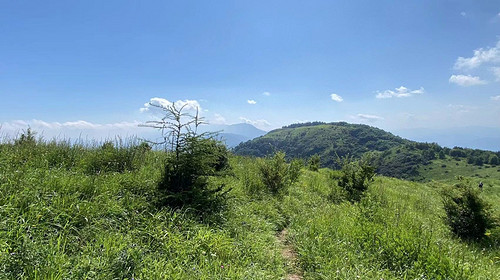 【京西龙脊-老龙窝】14公里高山穿越-原始森林徒步+高山草甸丨中级难度新人勿报