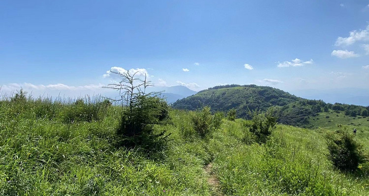 【京西龙脊-老龙窝】14公里高山穿越-原始森林徒步+高山草甸丨中级难度新人勿报