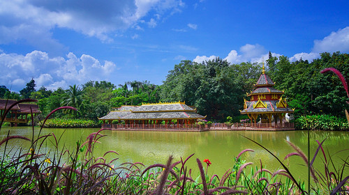 【又见云南 · 奇趣版纳5日】西双版纳+总佛寺+曼掌傣寨野象谷+中科院植物园+曼听公园+傣族园+告庄夜市+泼水狂欢+热带雨林探秘+雨林餐+全程高档酒店住宿+2-6人小团