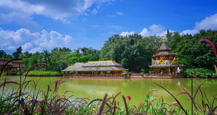 【又见云南 · 奇趣版纳5日】西双版纳+总佛寺+曼掌傣寨野象谷+中科院植物园+曼听公园+傣族园+告庄夜市+泼水狂欢+热带雨林探秘+雨林餐+全程高档酒店住宿+2-6人小团