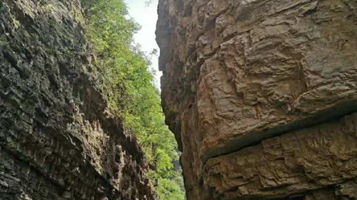 【京西·龙门涧1日】8公里峡谷休闲徒步+峡谷幽静蜿蜒+赏“北方喀斯特之花”