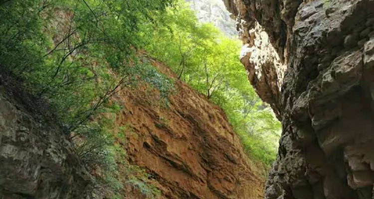 【北京一周一山·龙门涧】8公里峡谷休闲徒步+峡谷幽静蜿蜒+赏“北方喀斯特之花”