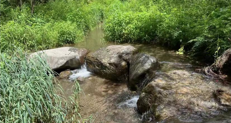 【北京一周一山·龙门涧】8公里峡谷休闲徒步+峡谷幽静蜿蜒+赏“北方喀斯特之花”