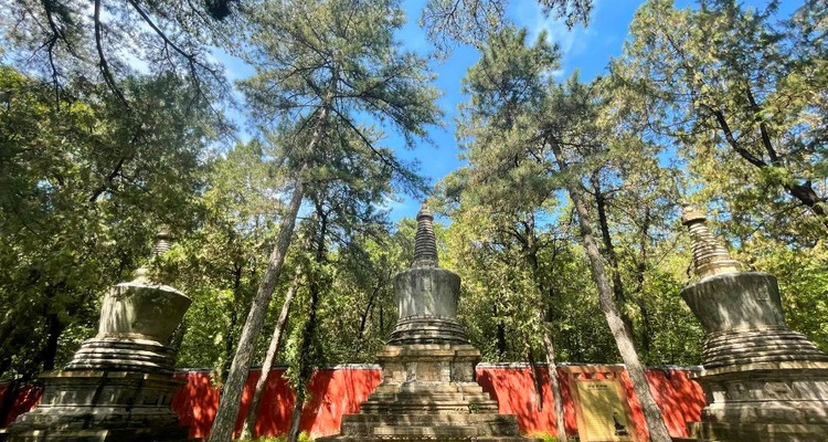 【潭柘寺·北宫森林公园赏秋1日】赏千年帝王银杏+漫步森林公园+赏秋休闲游