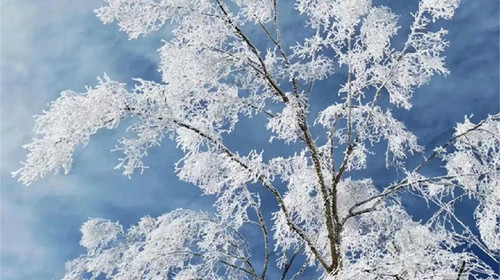 【北京一周一山·汗海梁】打卡塞北林海雪原+踏雪赏雾凇+徒步丈量冬日仙境~