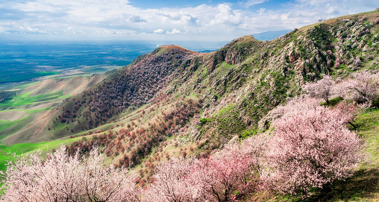 【遇见新疆·南疆杏花7日】喀什集散·木吉火山口+白沙湖+卡拉库里湖+慕士塔格峰+塔莎古道+盘龙古道+班迪尔湖+库科西鲁克乡+幸福五号桥+杏花大道+大/小同乡+塔莎古道+莎车古城+中国西极+阿图什天门+2-4人小包团&4人精品小团