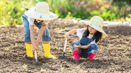 【“绿色行动，共植希望”植树活动1日】踏青植树+怀柔第一关+采摘体验！