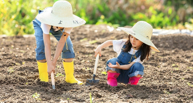 【“绿色行动，共植希望”植树活动1日】踏青植树+怀柔第一关+采摘体验！