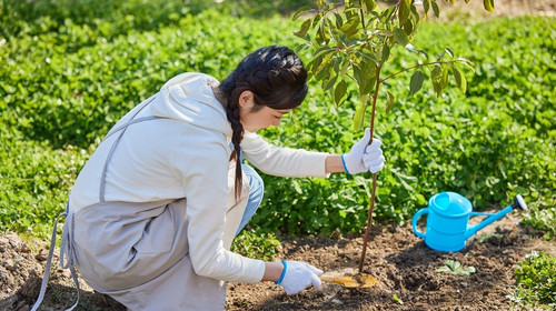 【“绿色行动，共植希望”植树活动1日】踏青植树+怀柔第一关+采摘体验！