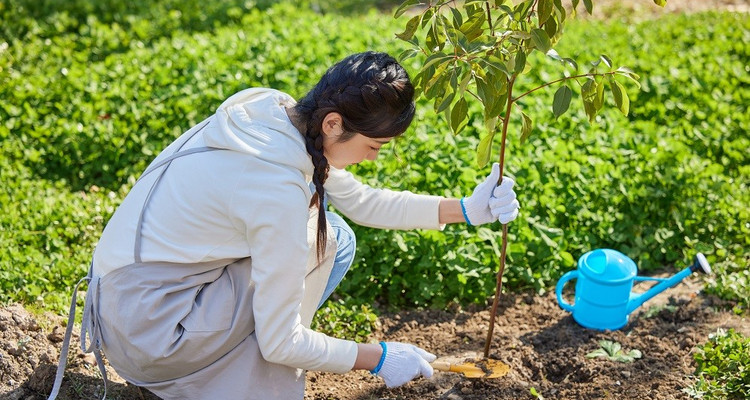 【“绿色行动，共植希望”植树活动1日】踏青植树+怀柔第一关+采摘体验！