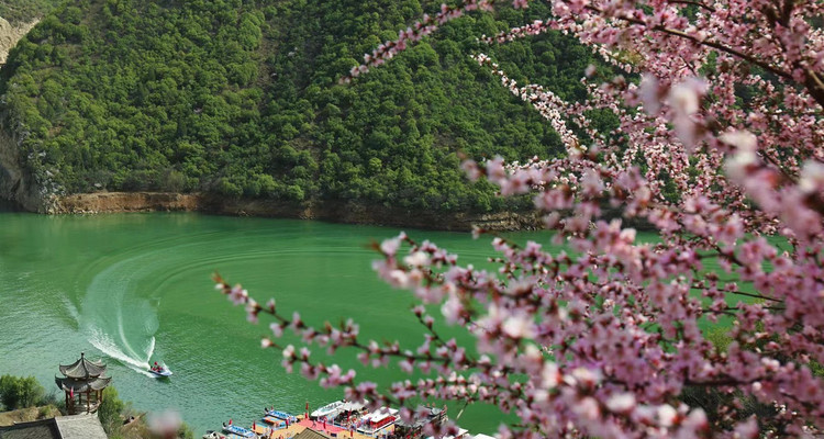 【西安一周一山·郑国渠桃花节】郑国渠里觅桃源+寻味袁家村