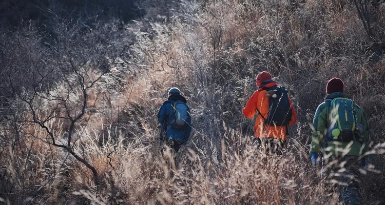 【北京一周一山·谷积山】15公里初级徒步丨寻幽探古+访灵鹫禅寺+寻古墓古塔