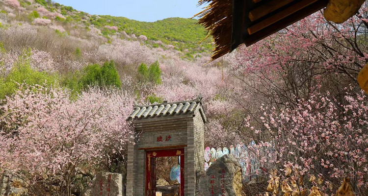 【西安一周一山·郑国渠桃花节】郑国渠里觅桃源+寻味袁家村