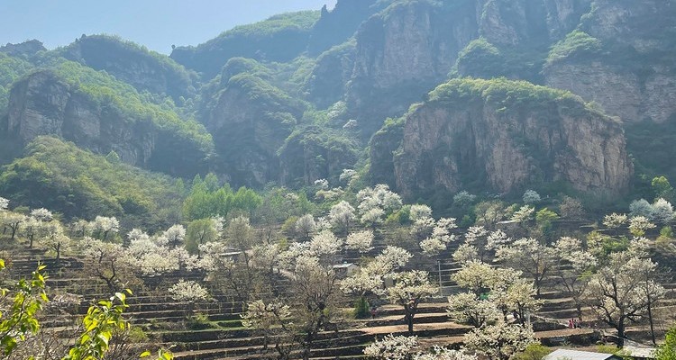 【北京一周一山·大滩梨花梯田】休闲级丨12公里丨探寻大山深处世外桃源+春日赏花摄影