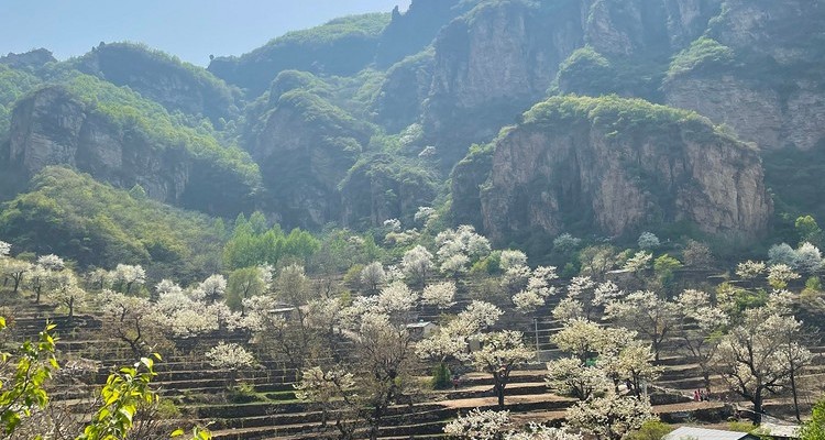 【北京一周一山·大滩梨花梯田】12公里休闲徒步丨探寻大山深处世外桃源+春日赏花摄影