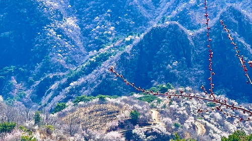 【北京一周一山·桃花山谷】休闲级丨9公里丨望宝川-湖门+休闲摄影赏花路线+漫步花海