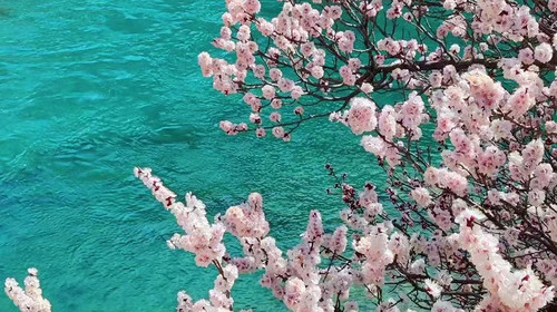 【绝色新疆·南疆塔莎杏花】木吉火山口 +塔莎古道+ 莎车古城 +班迪尔湖 +盘龙古道 +喀什 +大同乡+ 塔尔乡杏花7日游