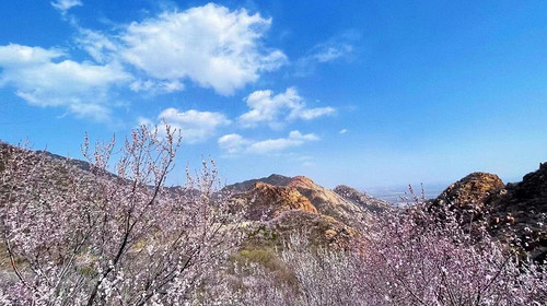 【北京一周一山·白虎涧】初级丨7公里丨北京后花园看桃花漫满山+赏燕平八景