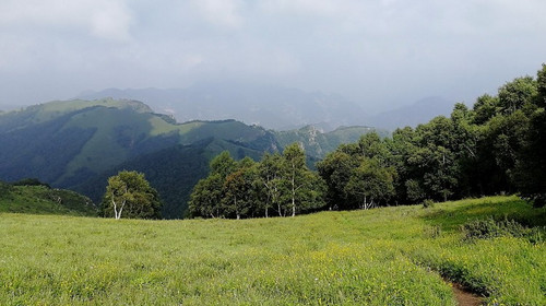 【北京一周一山·北灵山】10公里初级徒步丨徒步高山草甸+邂逅宫崎骏的夏天