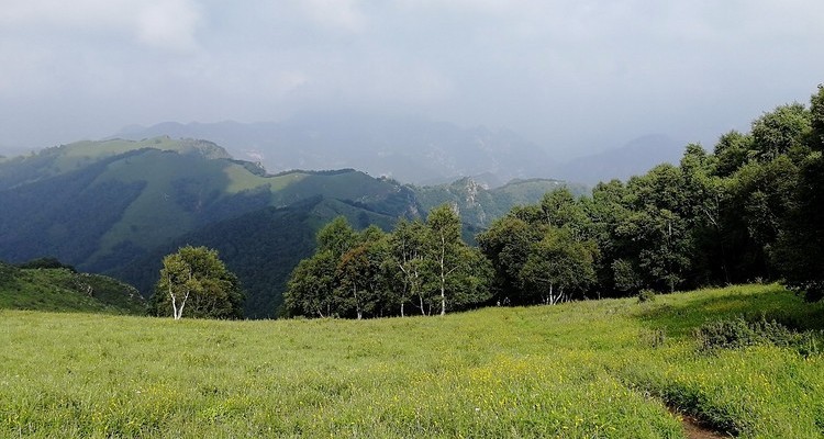 【北京一周一山·北灵山】10公里初级徒步丨徒步高山草甸+邂逅宫崎骏的夏天