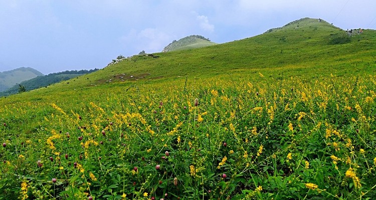 【北京一周一山·北灵山】10公里初级徒步丨徒步高山草甸+邂逅宫崎骏的夏天