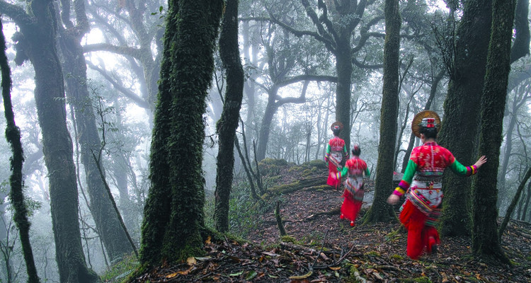 【又见云南 · 云南虫谷7日】哀牢山秘境+翁丁原始部落+西盟龙摩爷+音乐老达保+景迈山古茶园+翁基古寨+糯干古寨+景真八角亭+7天6晚