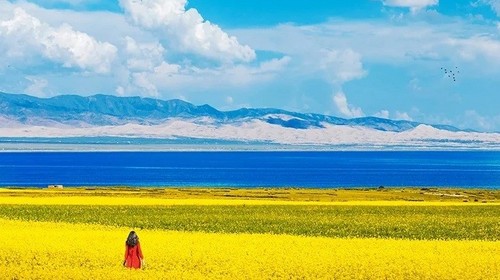 【网红西北 · 甘青大环线8日】西宁+青海湖骑行+茶卡盐湖+大柴旦翡翠湖+U型公路+东台吉乃尔湖+水上雅丹+黑独山+丝路遗产城+莫高窟+鸣沙山月牙泉+远观嘉峪关长城+张掖丹霞日落+扁都口+祁连草原+远观岗什卡雪山+8人小车团&2-8人私家团
