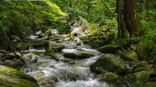 【西安一周一山·狐狸沟】8公里休闲徒步|探访绿野仙踪纳凉宝藏地