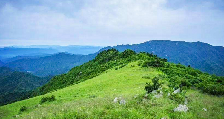 【北京100公里山野·黄草梁站】中级难度丨17.5公里丨徒步绝美高山草甸+打卡古道明珠黄草梁+新人小白勿报