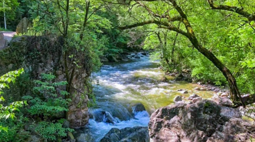 【北京一周一山·神木峡谷】避暑寻幽探胜，在遮天蔽日的绿意中，邂逅暮光之城般的森林，于潺潺溪水中感受山野清凉~