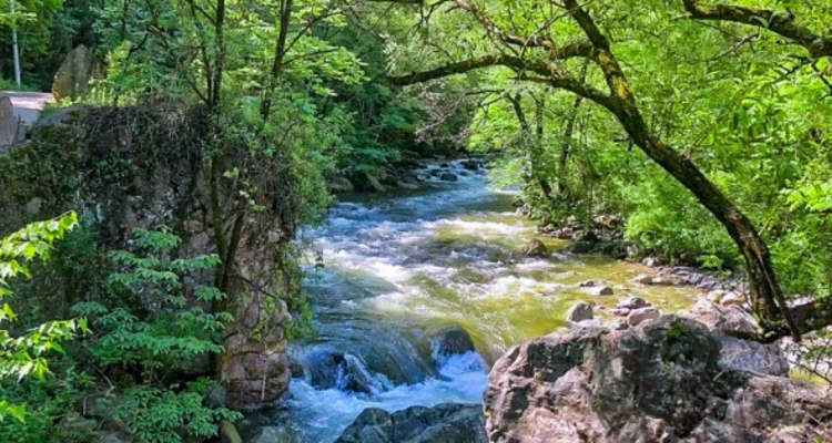 【北京一周一山·神木峡谷】避暑寻幽探胜，在遮天蔽日的绿意中，邂逅暮光之城般的森林，于潺潺溪水中感受山野清凉~