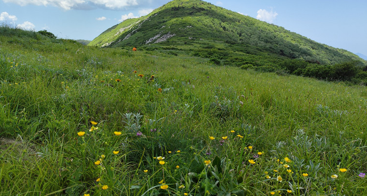 【西安100公里山野·草链岭站】10公里徒步+中级难度+漫步高山草甸