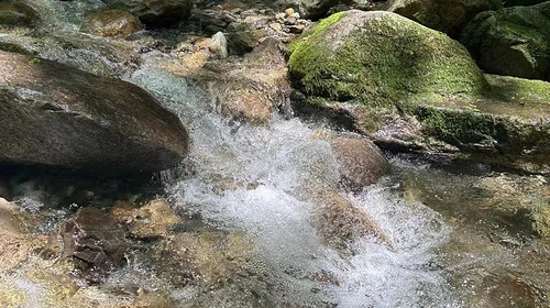 【夏日避暑·西寺沟 】清凉避暑 | 提供水枪玩具！