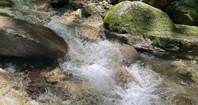 【夏日避暑·西寺沟 】清凉避暑 | 提供水枪玩具！