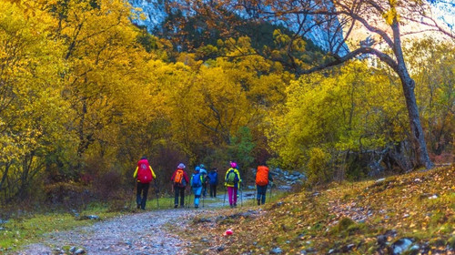 【行摄滇南】东川红土地｜元阳梯田｜罗平油菜花｜九龙瀑布｜弥勒东风韵｜建水古城｜抚仙湖7天6晚