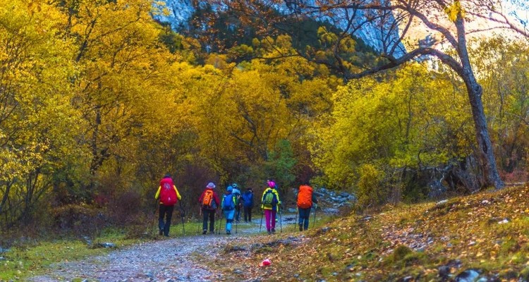 【又见云南·极边之秋7日】大理-芒市-瑞丽--腾冲-银杏村-高黎贡轻徒步-保山-潞江坝-咖啡第一村-诺邓古村-边境秋色7日深度游