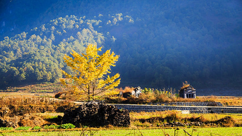 【行摄滇南】东川红土地｜元阳梯田｜罗平油菜花｜九龙瀑布｜弥勒东风韵｜建水古城｜抚仙湖7天6晚