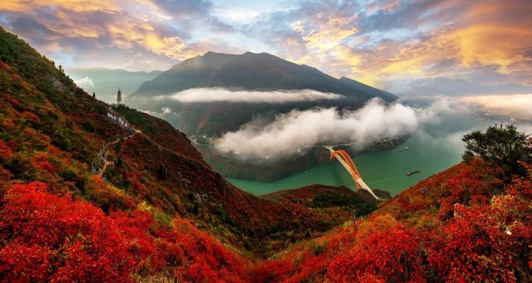 【地道三峡·红叶醉三峡4日】宜昌+文峰观+船游巫山夜景+三峡之巅+白帝城+神女天路+赏长江两岸醉美红叶+16人精品团+2-7人私家团