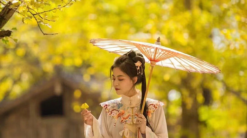 【又见云南·金秋花事7日】无量山樱花谷-腾冲银杏村-瑞丽-芒市金银塔-热带雨林-奇幻热海-和顺古镇-柏联温泉-诺邓古村-巍山古城7日游