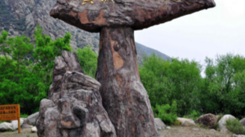 【邀“宁”赏冬 冬游宁夏六天】贺兰山岩画+镇北堡影视城+西夏陵+沙坡头+66公路等6天5晚冬季特价团