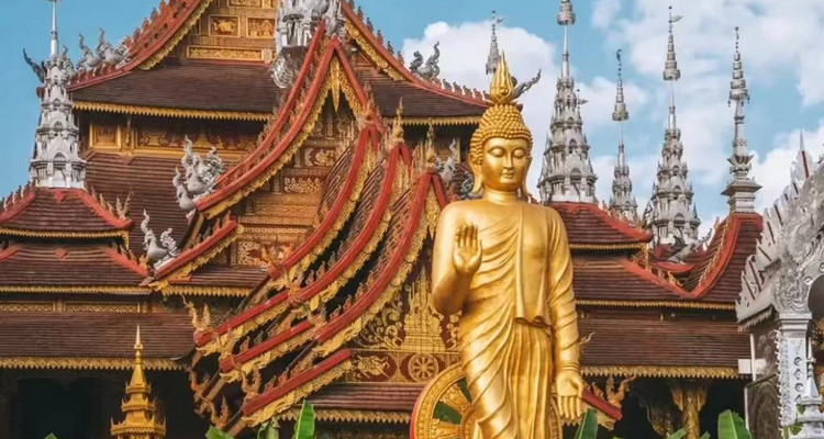 【又见云南·象往版纳7日】昆明+普洱+太阳河小熊猫+景迈山+西双版纳+总佛寺+野象谷+中科院+热带雨林徒步+星光夜市7日游