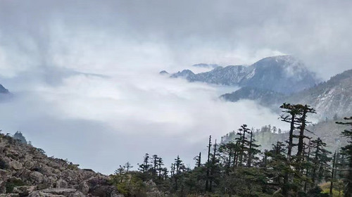 【西安一周一山·朱雀国家森林公园】登秦岭之巅·观石海云天