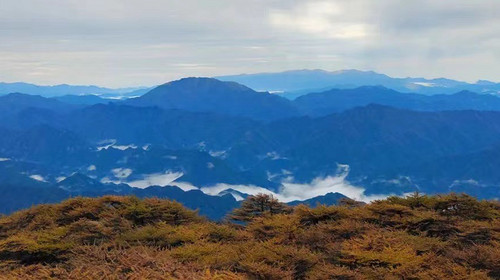 【西安一周一山·朱雀国家森林公园】登秦岭之巅·观石海云天